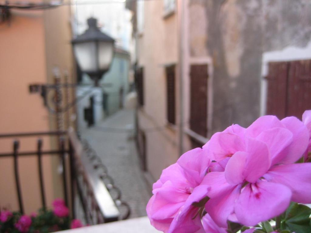 Apartment Below The Stars Rovinj Exterior photo